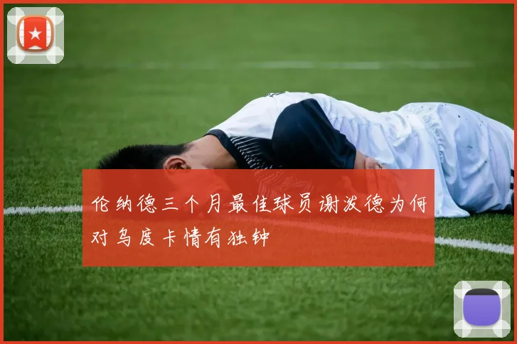伦纳德三个月最佳球员谢泼德为何对乌度卡情有独钟